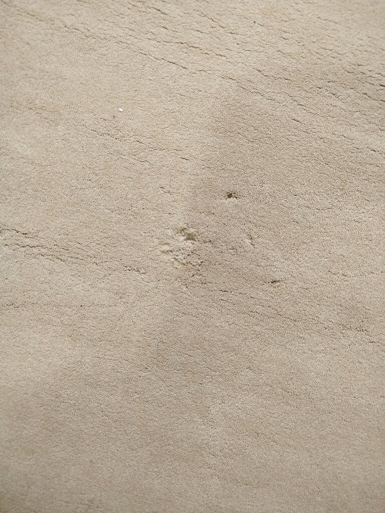 Çok yumuşacık kalın halı 120x180 cm boyutunda - 8