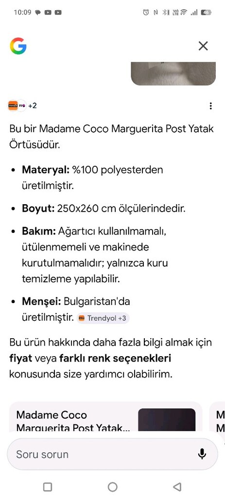 Madame Coco Marguerita Post Yatak Örtüsü Ekru - 4