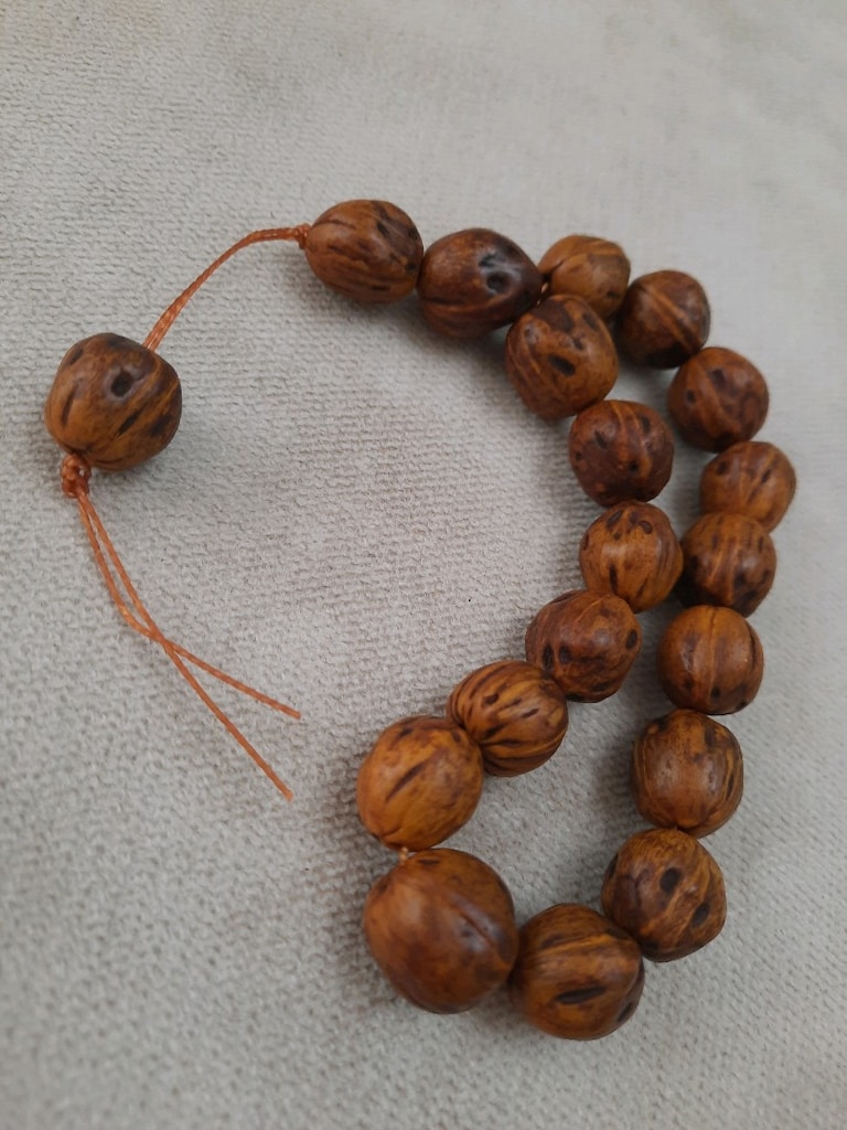 andız ağacı tesbih - 2