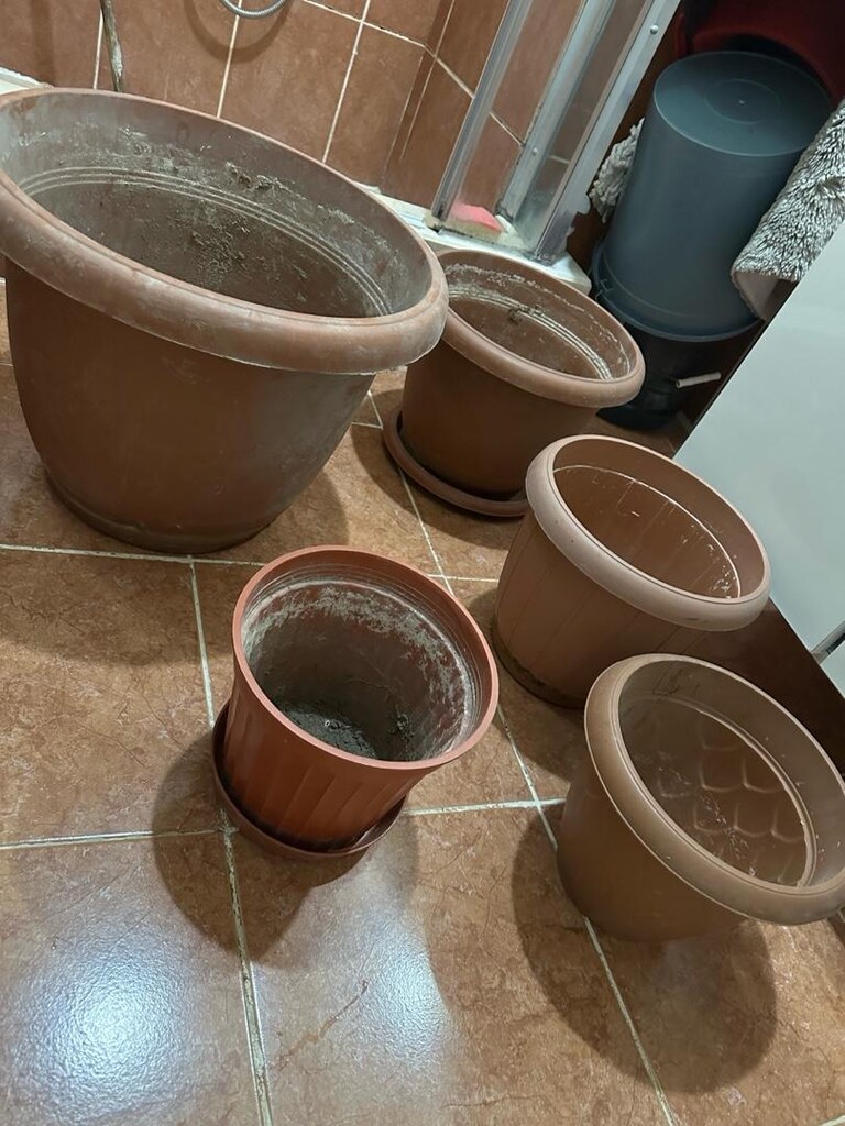 5-adet saksı hepsi toplu fiyat cook aciill - 3
