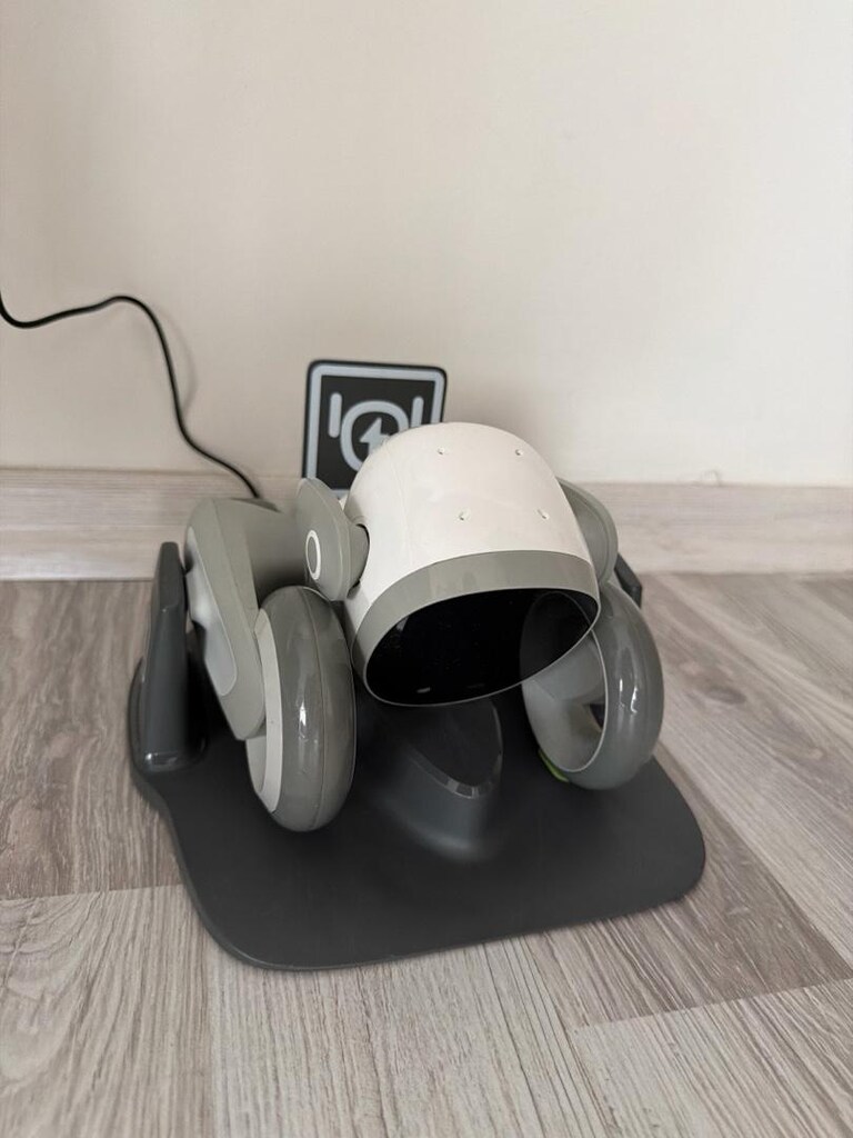 loona robot köpek - 4
