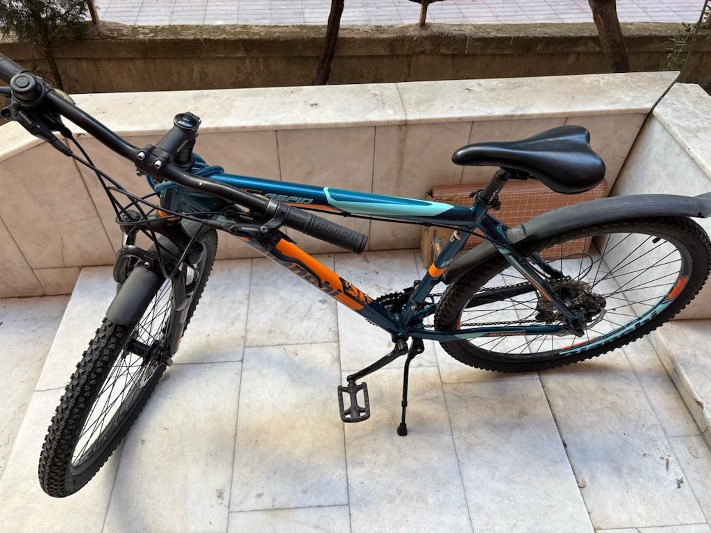 Bianchi Aspid 47 Dağ Bisikleti - 6