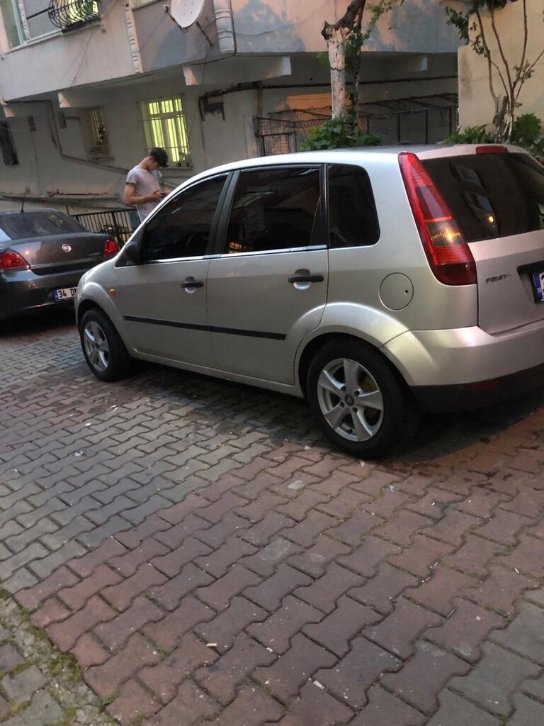 tertemiz aile aracı - 4