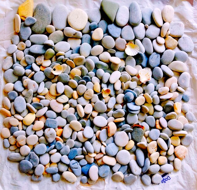 AKVARYUM TAŞLARI ÇEŞİTLİ BOYUTLARDA 9.5 kg