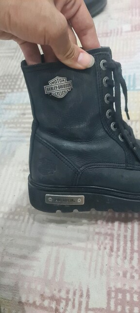 Harley davidson 36 numara