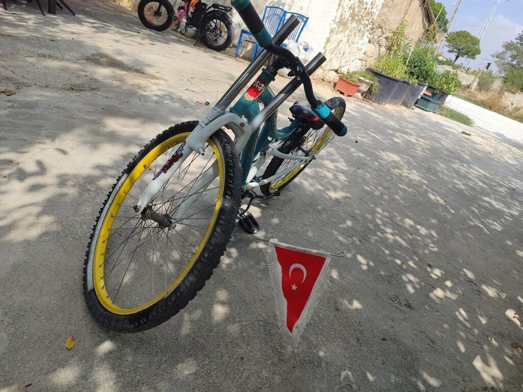 basık bisiklet - 3