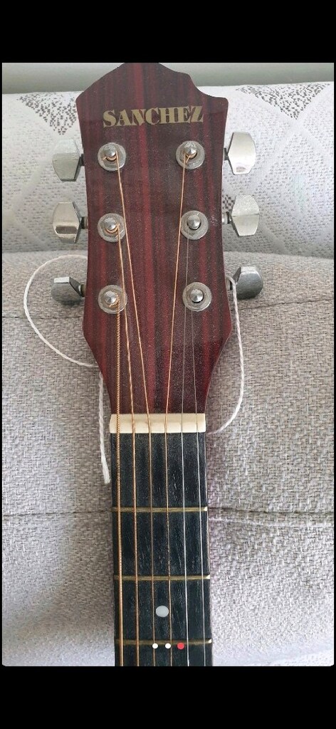 Sanchez Gitar SANCHEZ Model 010EK41RB lütfen pazarlık teklif etmeyin. - 2