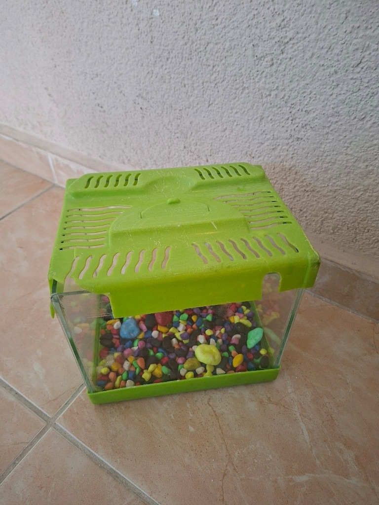 20 cm Akvaryum tasları ile birlikte - 6