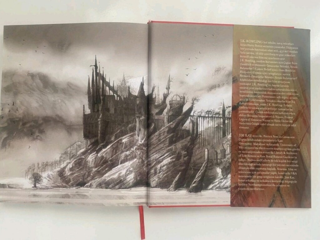 Harry Potter ve Felsefe Taşı (Resimli Özel Baskı) - 4