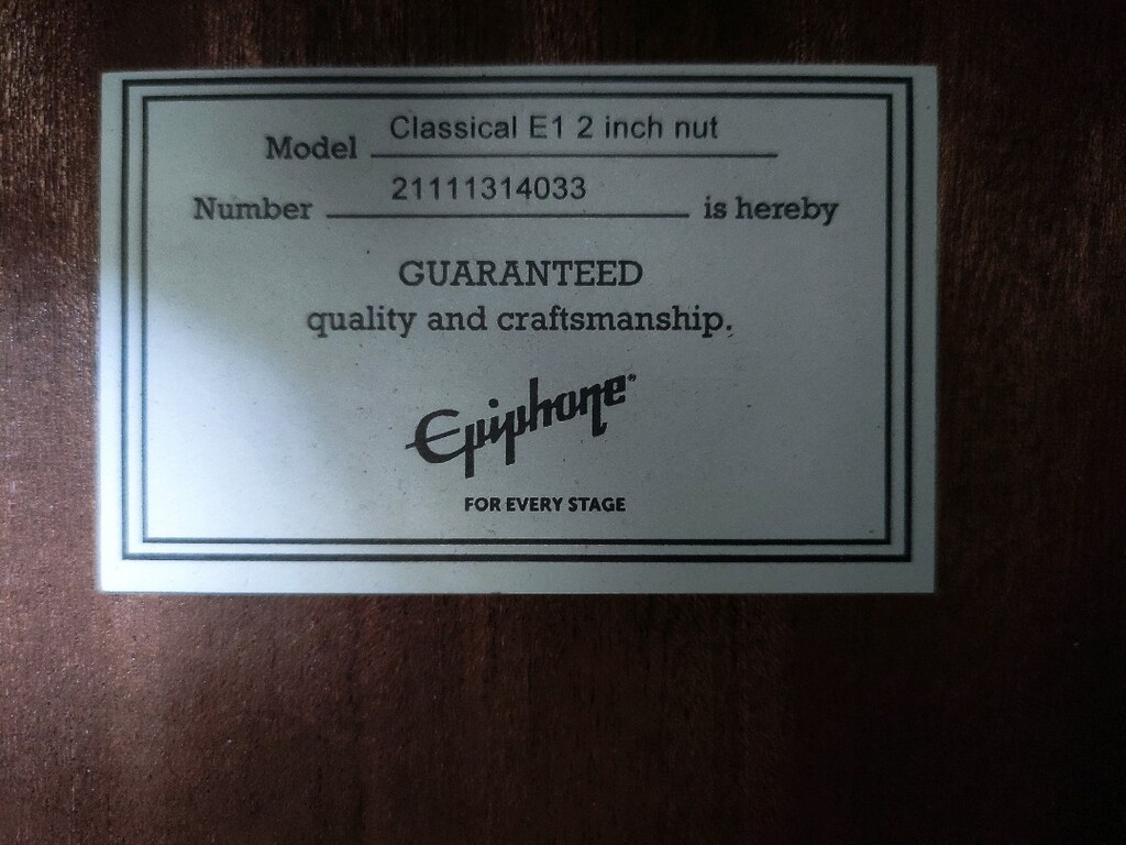 Epiphone PRO-1 2.0 Klasik Gitar - 7