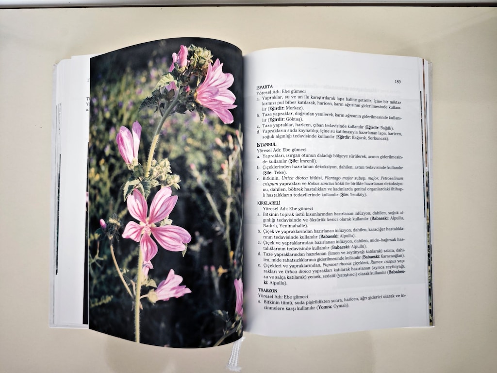 Kitap / Şifa Niyetine Türkiye'nin Bitkisel Halk İlaçları - 6