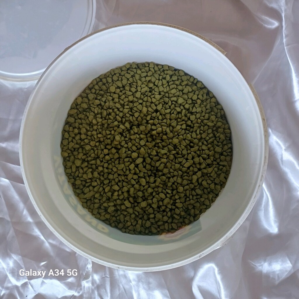 vitasand profesyonel yesıl akvaryum kumu - 3