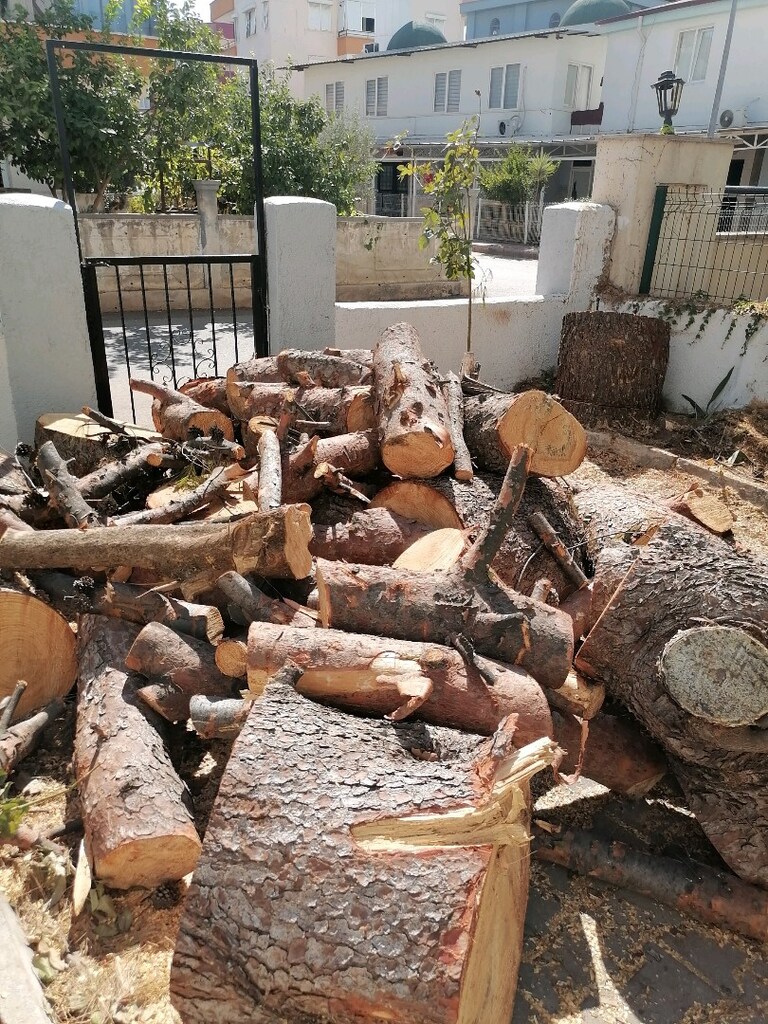 Odun - 4