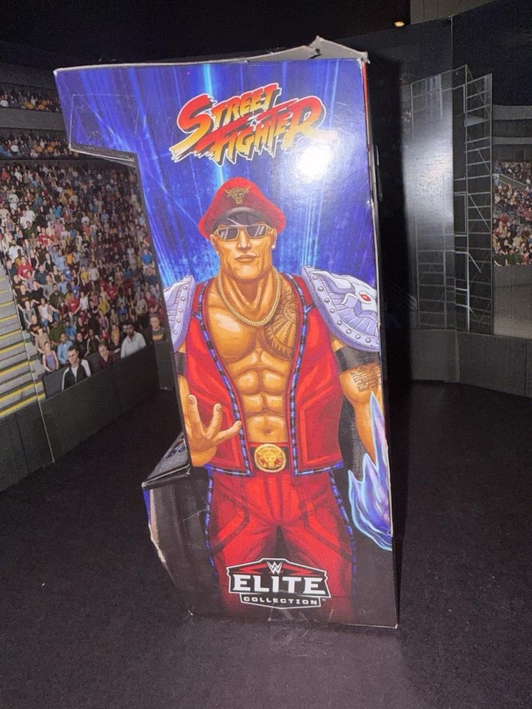 The rock elite x street fighter wwe - 3