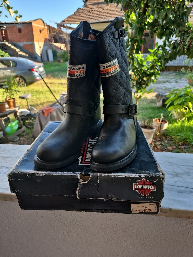 Harley Davidson Bot - 3