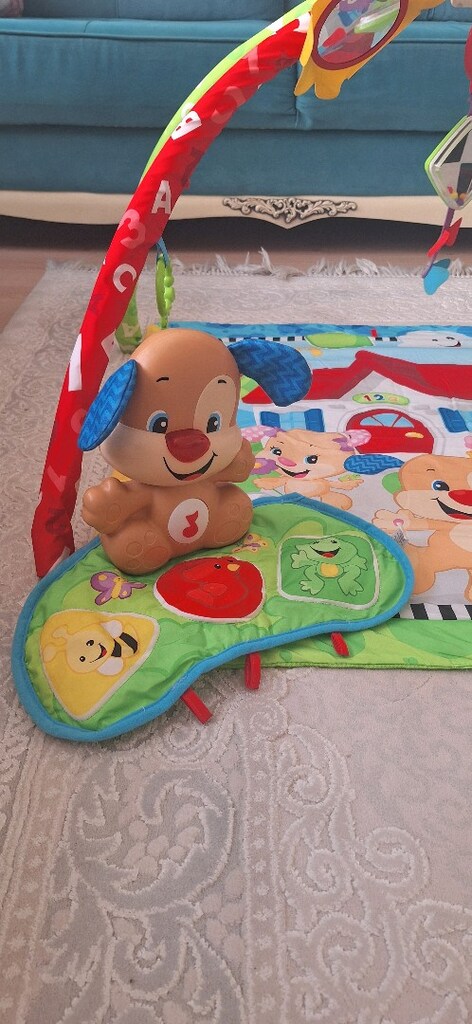 Fisher Price Köpekcik ve Arkadaşları Jimnastik Seti - 2