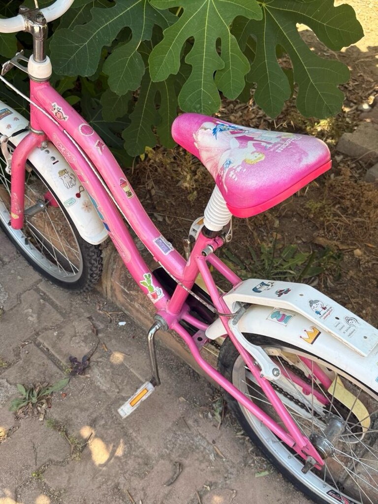 20 cant ümit bisiklet TAKAS YAPILIR - 3