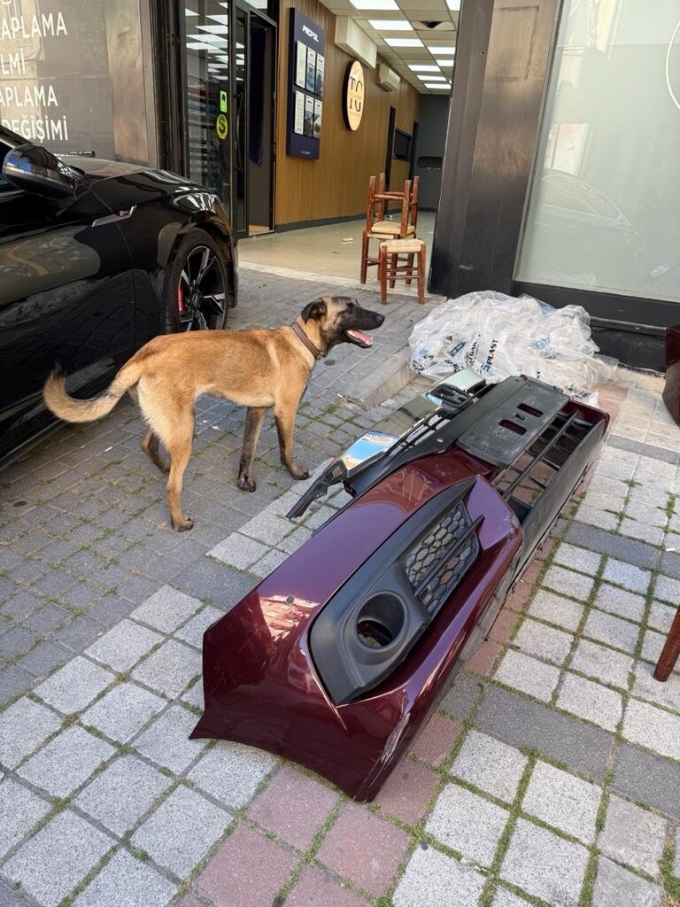honda civic orjinal ön arka tampon - 11