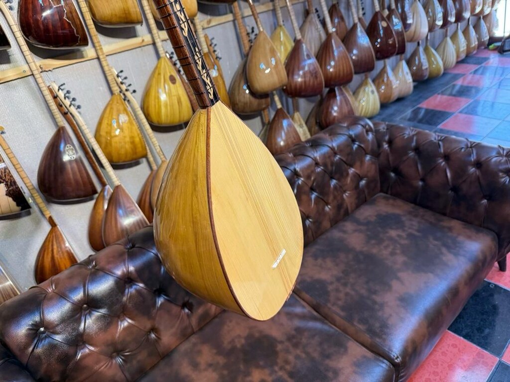 TAM PROFESYONEL 41 TEKNE YAPRAK DUT AĞACI UZUN SAP SAZ - 5