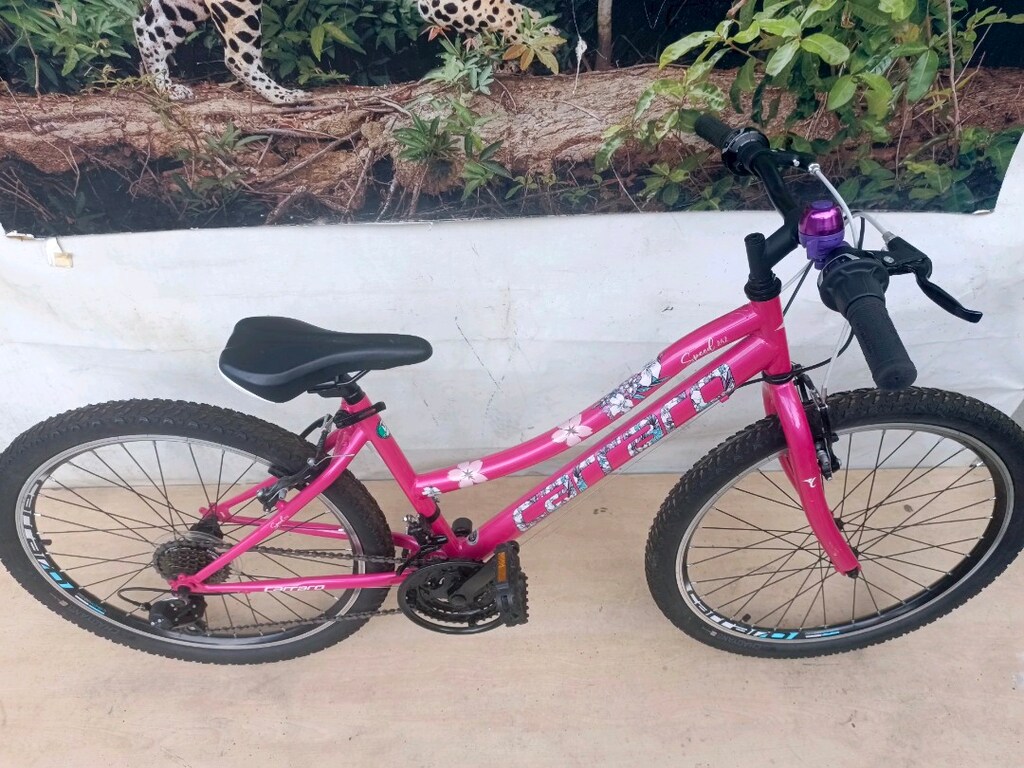 24" CANT CARRARO speed 242 KIZ BİSİKLETİ - 5