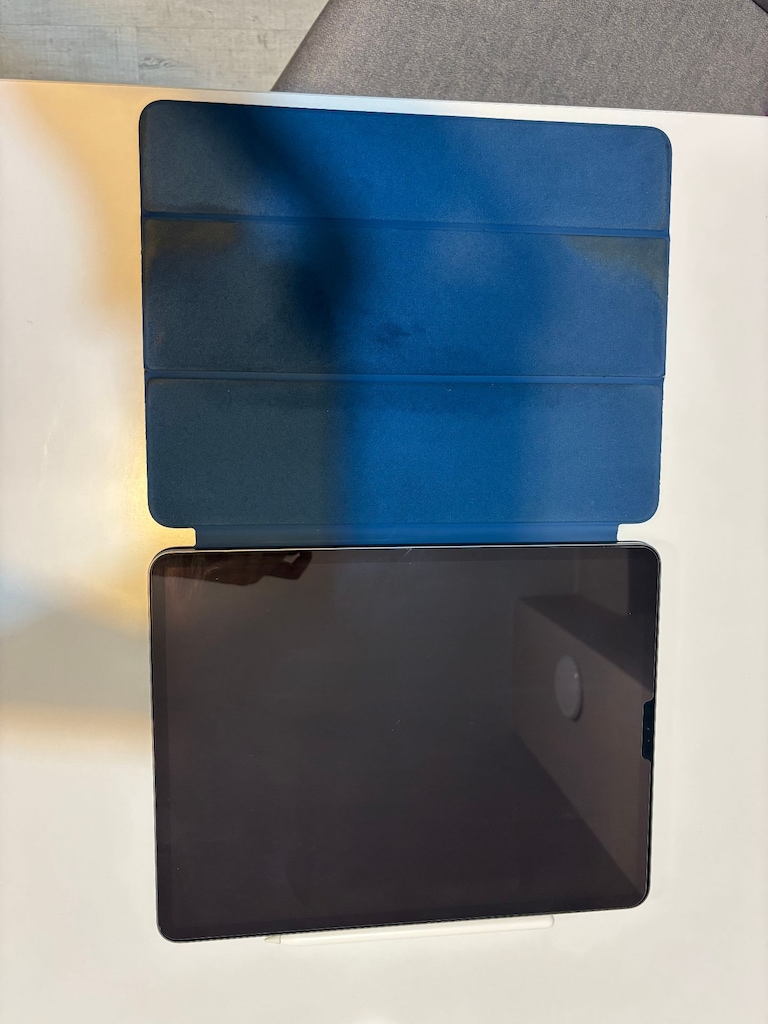 iPad Pro 12.9 inç 4. Nesil 256 GB temiz kullanılmıştır. - 2