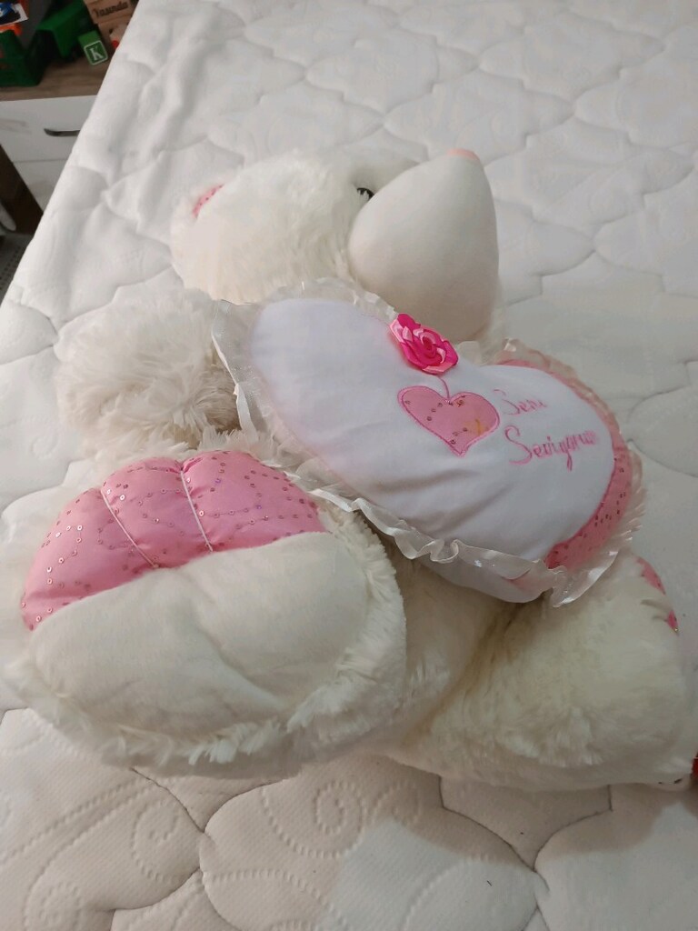 Sevimli renkli peluş ayıcıklar - 8