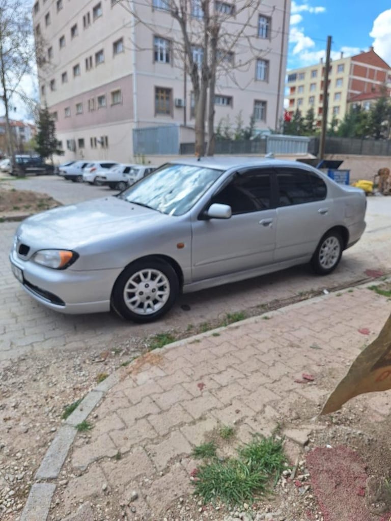 Tüm bakımları yapılmış temiz primera - 2