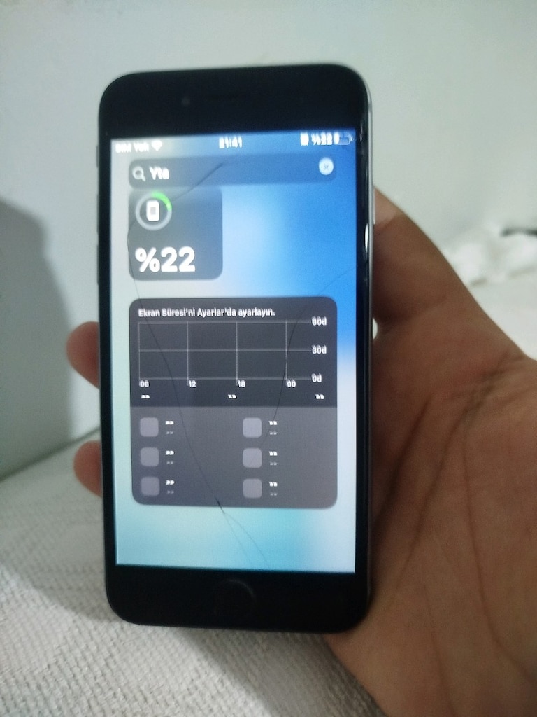 Apple - 13