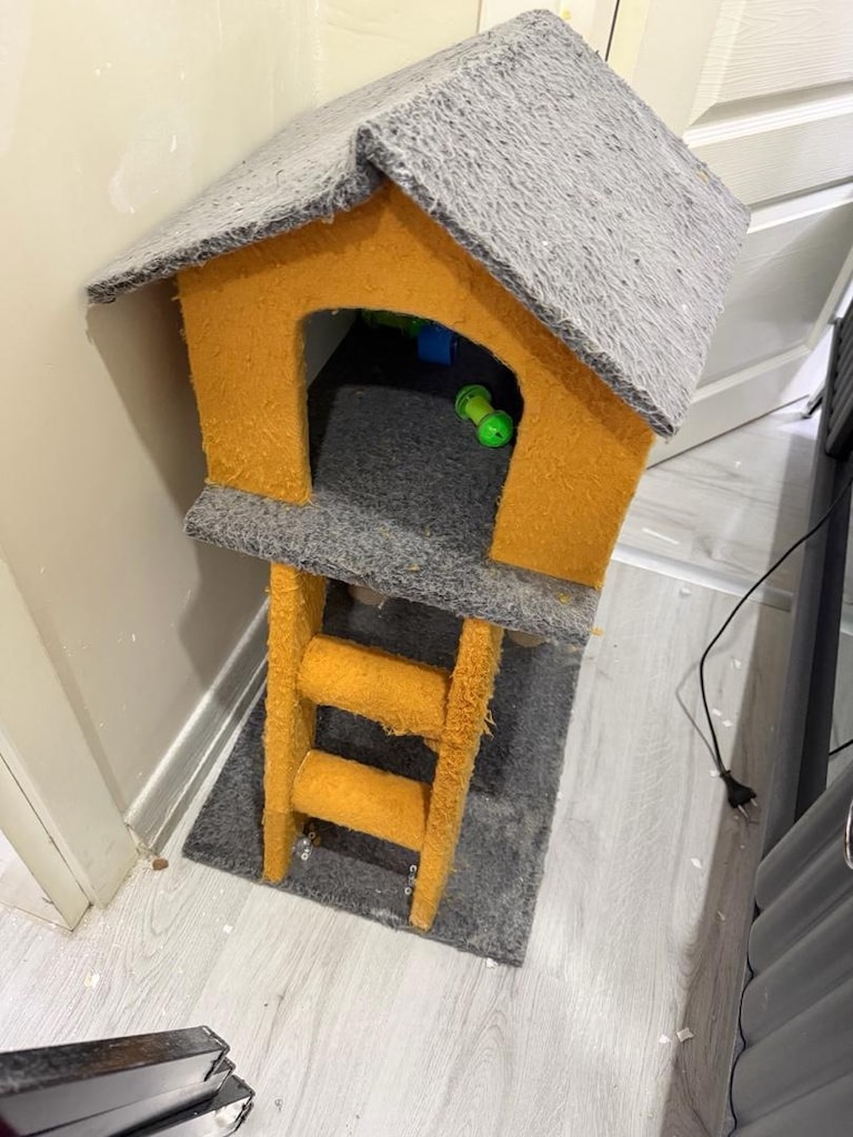 kedi evi - 2