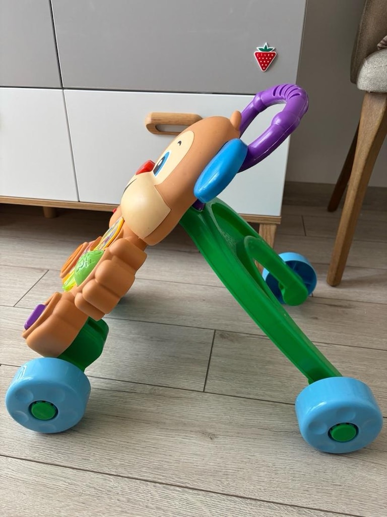 Fisher Price Yürüme Arkadaşı - 3