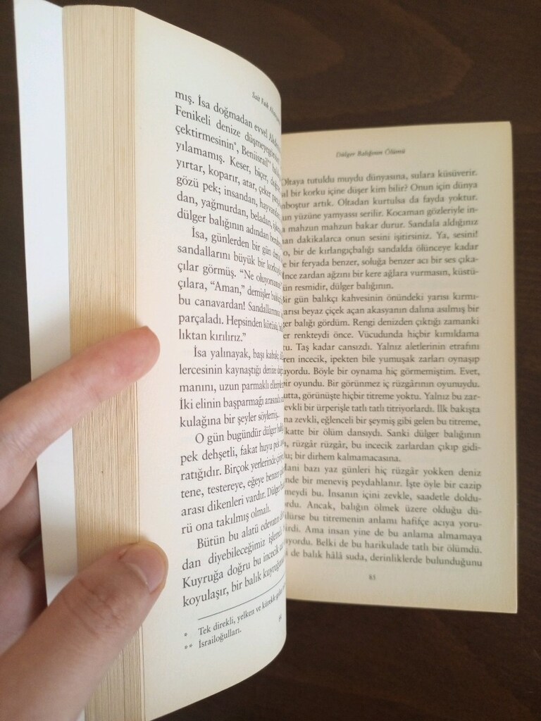 Çavdar Tarlasında Çocuklar. J. D. Salinger - 3