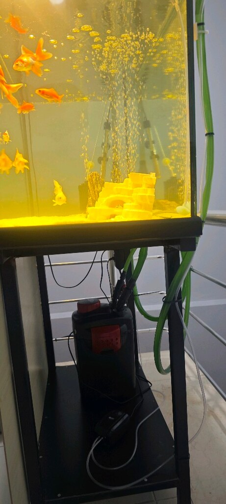 Hazır akvarium - 4