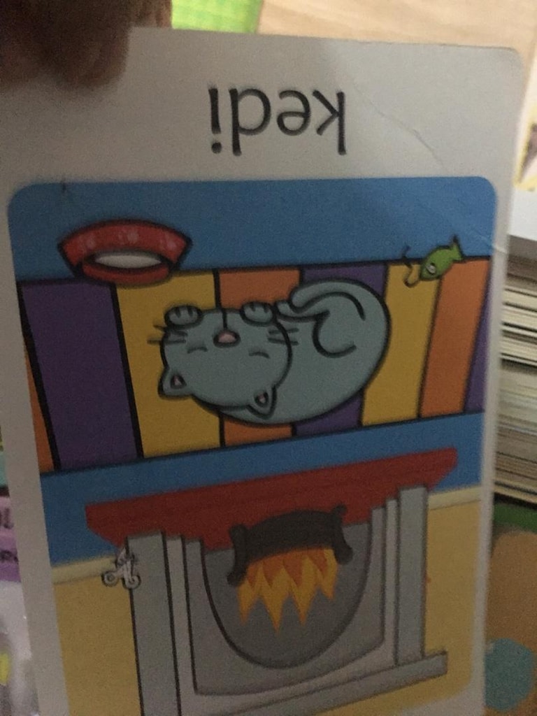 Fisher Price Piyanolu Oyun Halısı ve Flashcards ve bebek kitapları - 5