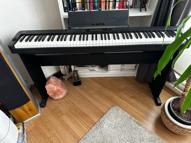 Casio CDP- S350 + stand