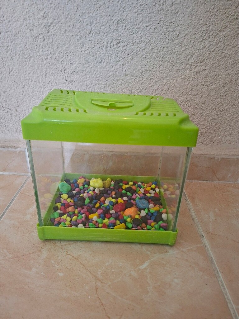 20 cm Akvaryum tasları ile birlikte - 7