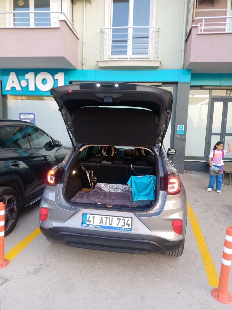 Ford çalışanından puma - 4
