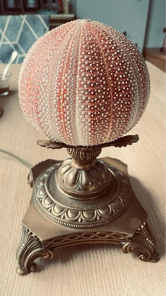 Gerçek Deniz Kestanesi Vintage Abajur - 7