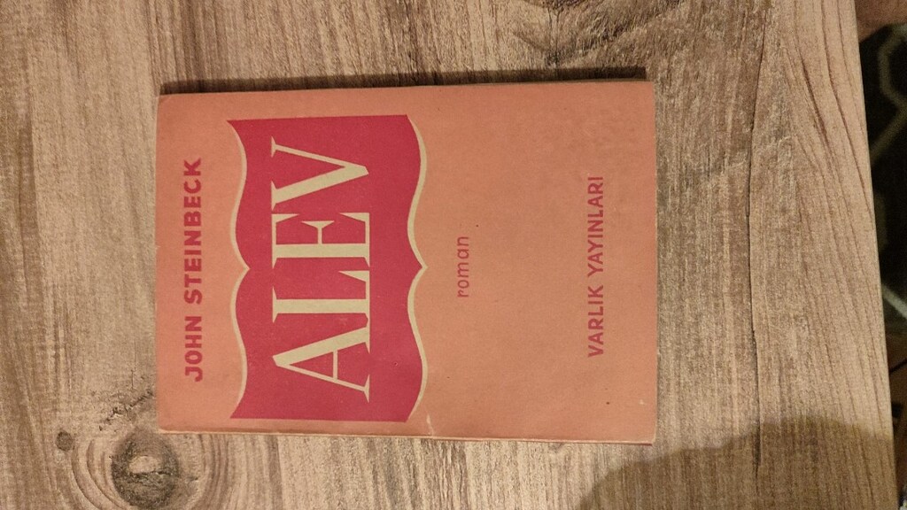 Nadir kitap roman şiir - 3