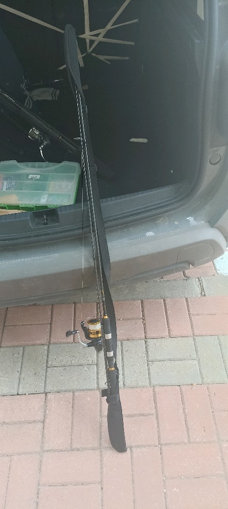 Daiwa karbon legalis seabass - 2