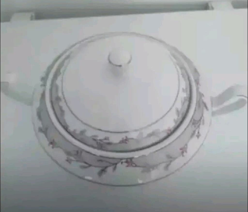 porselen çorba tenceresi schefer marka - 2