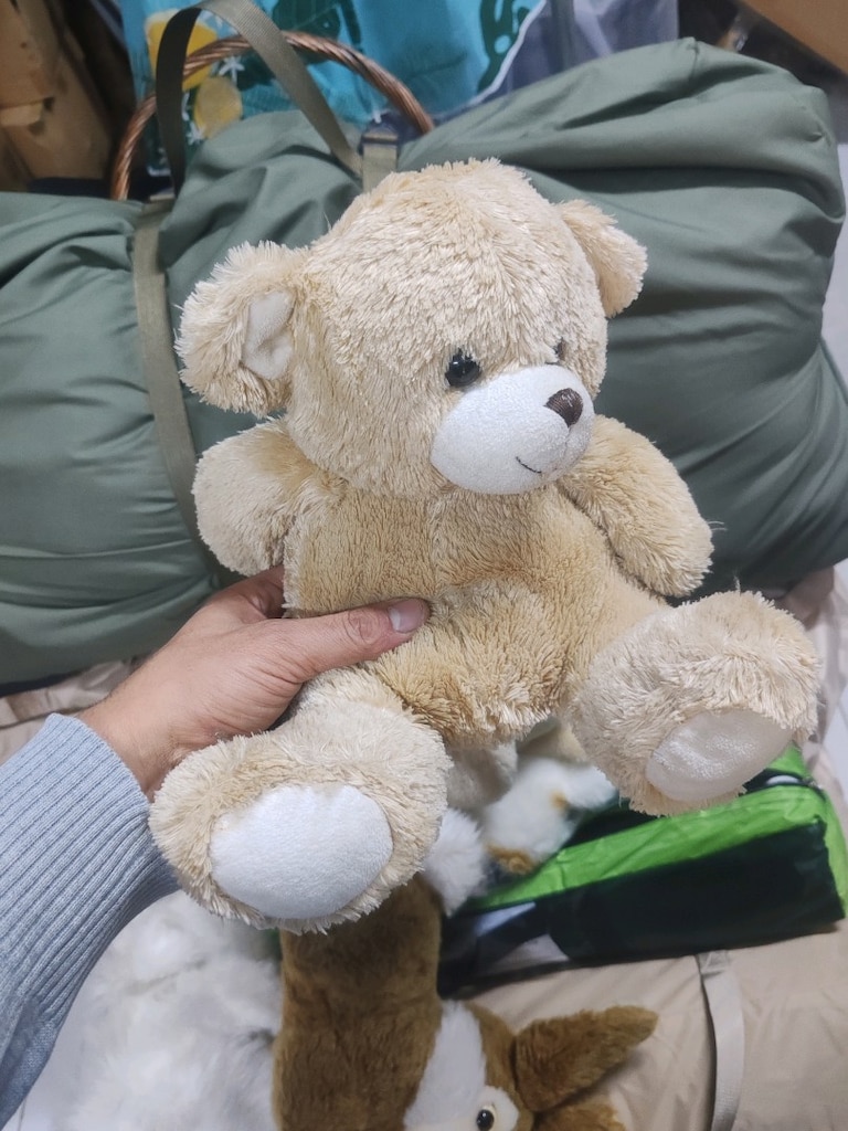 Kahverengi Beyaz Peluşlar - 5