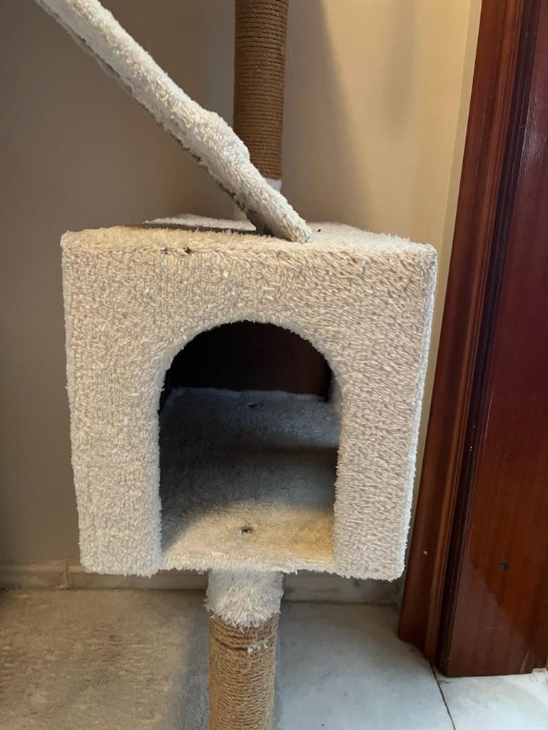 kedi evi - 7