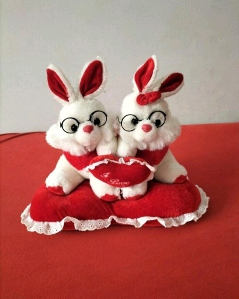 ikili gözlüklü süs tavşan - 3