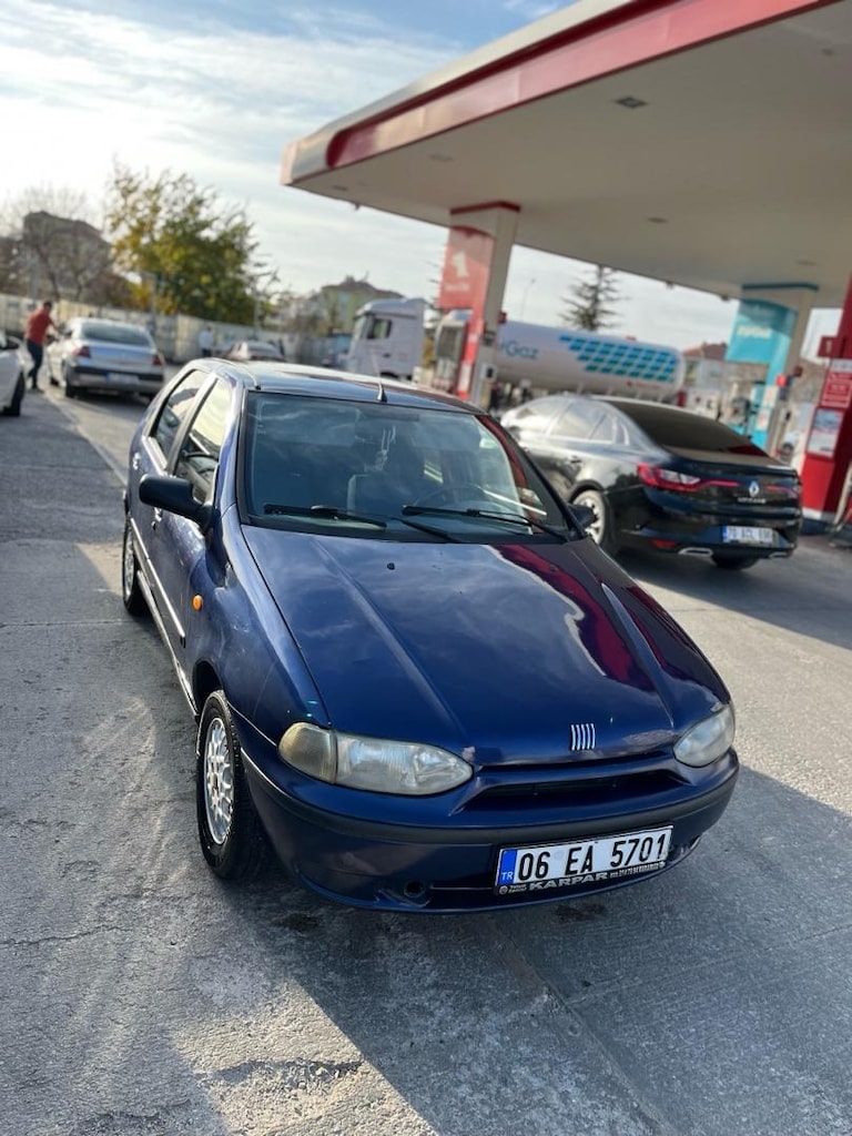 palio - 4