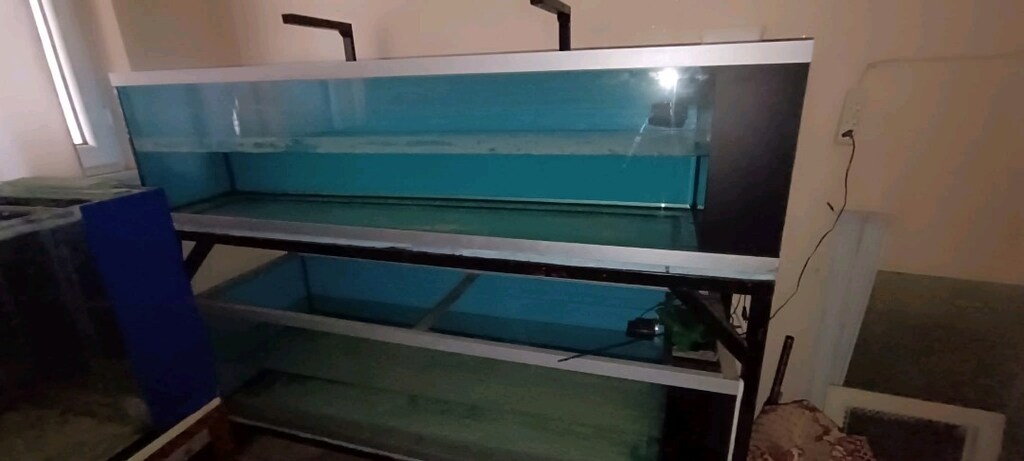 ACİL SATILIK 2 metre 50 sumplu fabrika yapımı akvaryum set - 2