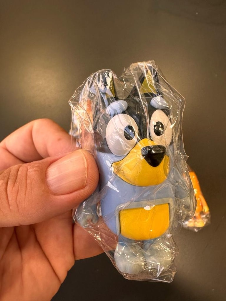 BLUEY BINGO ve Arkadaşları 8’li Figür - 4