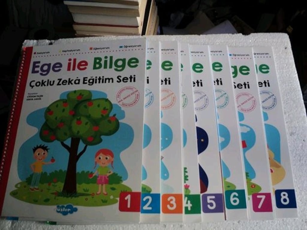 Ege ile Bilge Çoklu Zeka Eğitim Seti +4 Yaş Okul Öncesi - 4