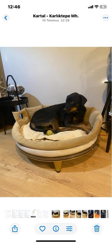 şık tasarım büyük köpek yatağı - 4