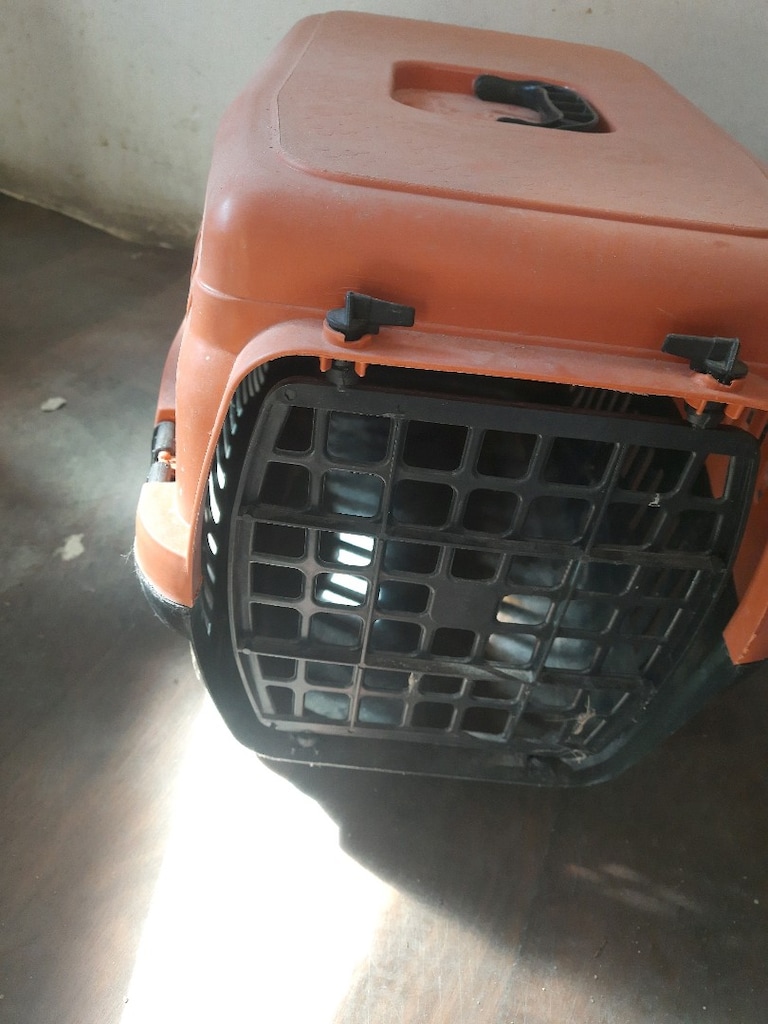 kedi taşıma kafesi - 2
