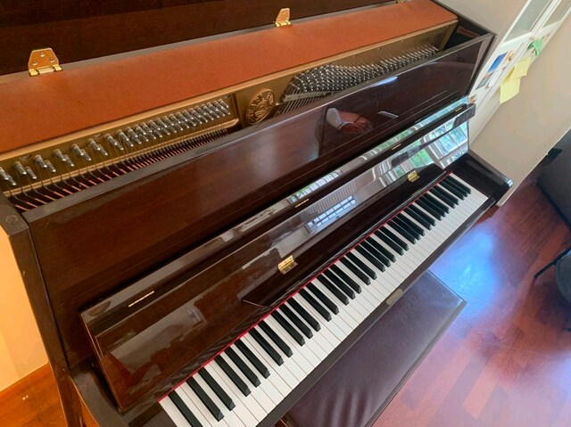 Pearl River UP115M2 Akustik Piyano – Çok Temiz – Orijinal Tabure Dahil